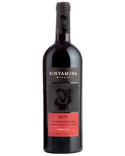 Binyamina Cabernet Sauvignon Petit Verdot Yogev  750ml - 