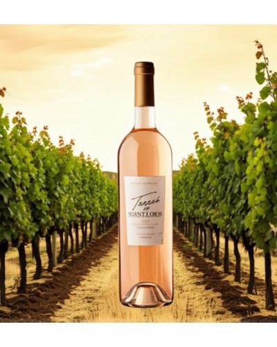 Terres de Saint Louis Coteaux Varois en Provence Rose 750ml
