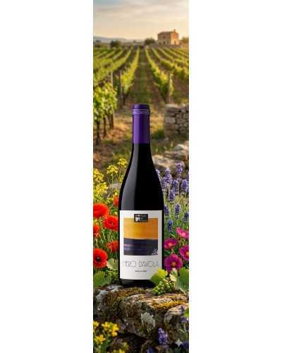 Feudi del Pisciotto Sicilia Nero d'Avola 750ml
