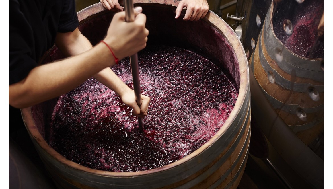 How to Get Started Making Wine at Home